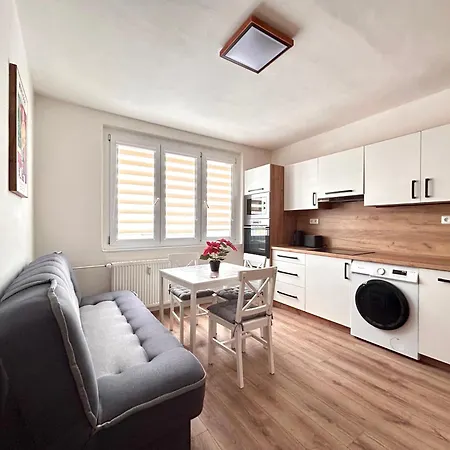 Lejlighed Apartmanovy Nad Rekou Kadaň